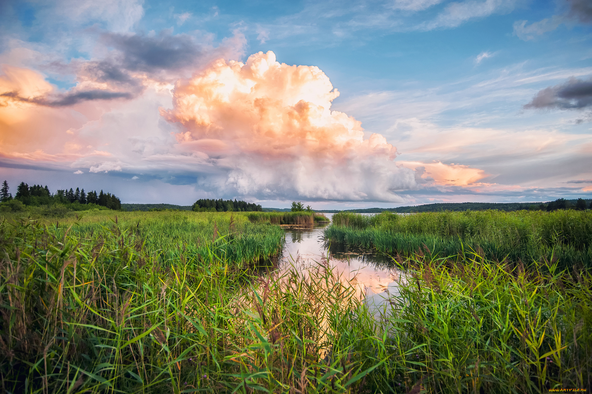 природа, реки, озера, река, лес