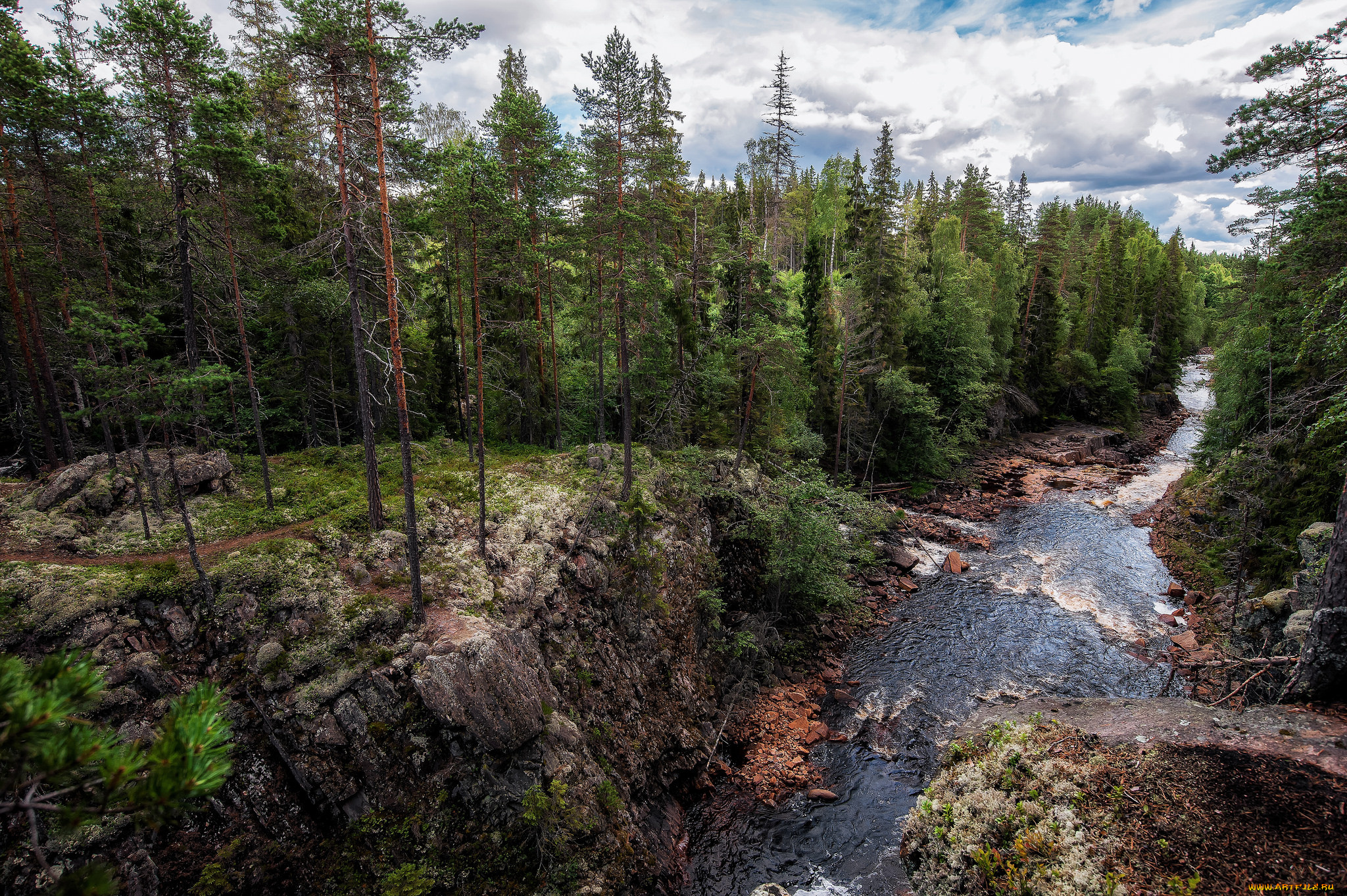 природа, реки, озера, река, лес