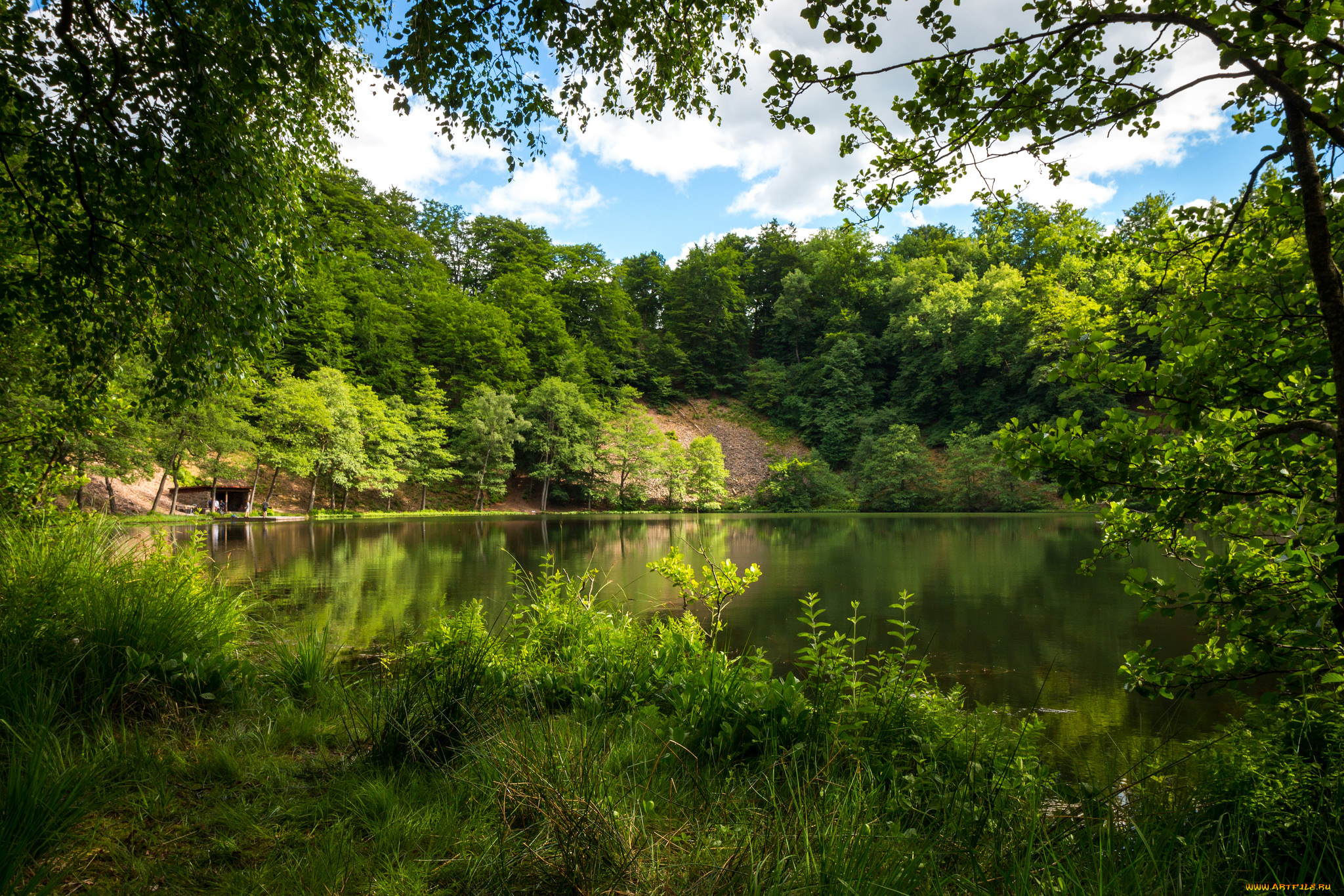 природа, реки, озера, лес, река