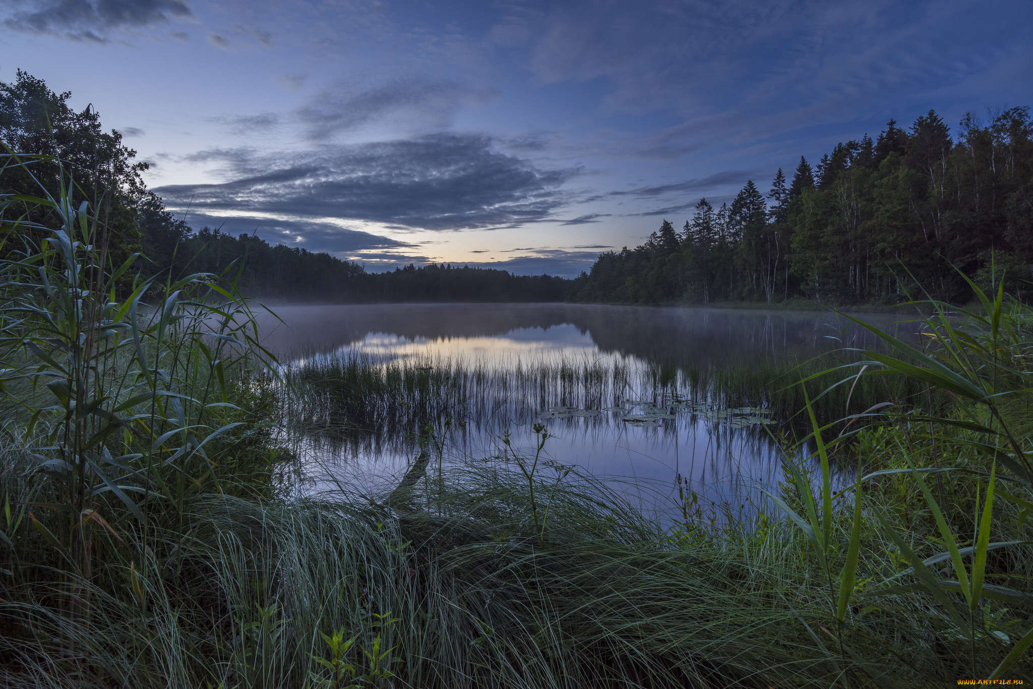 природа, реки, озера, река, лес