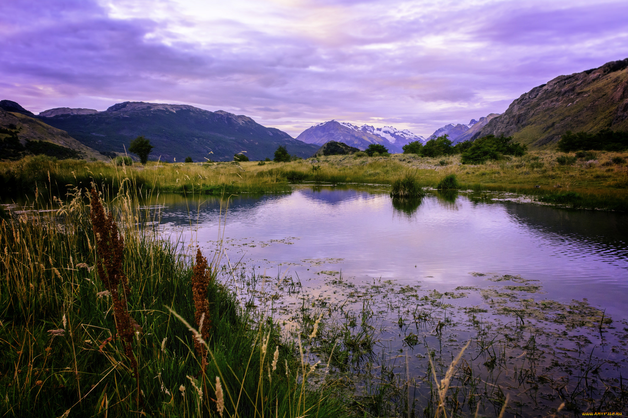 природа, реки, озера, река, лес