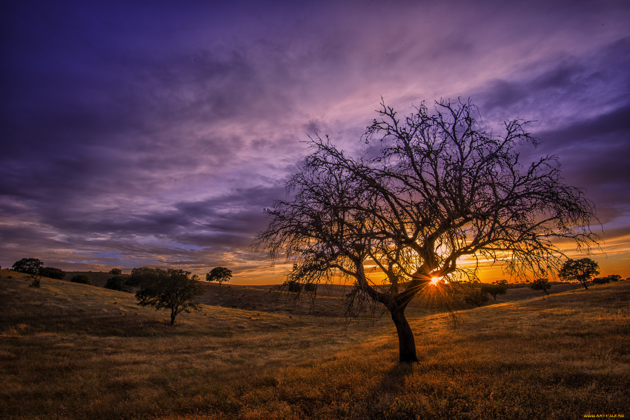 природа, восходы, закаты, рассвет
