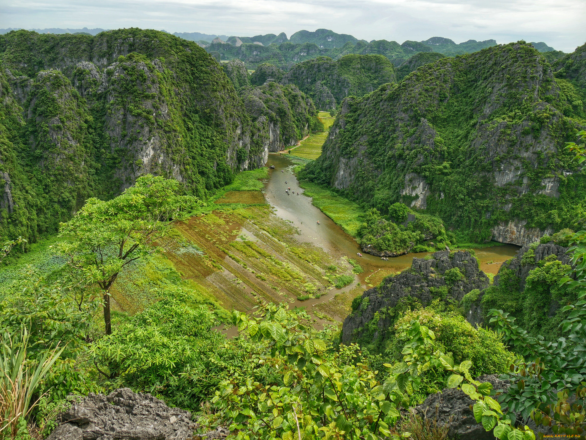 природа, реки, озера, река, лес