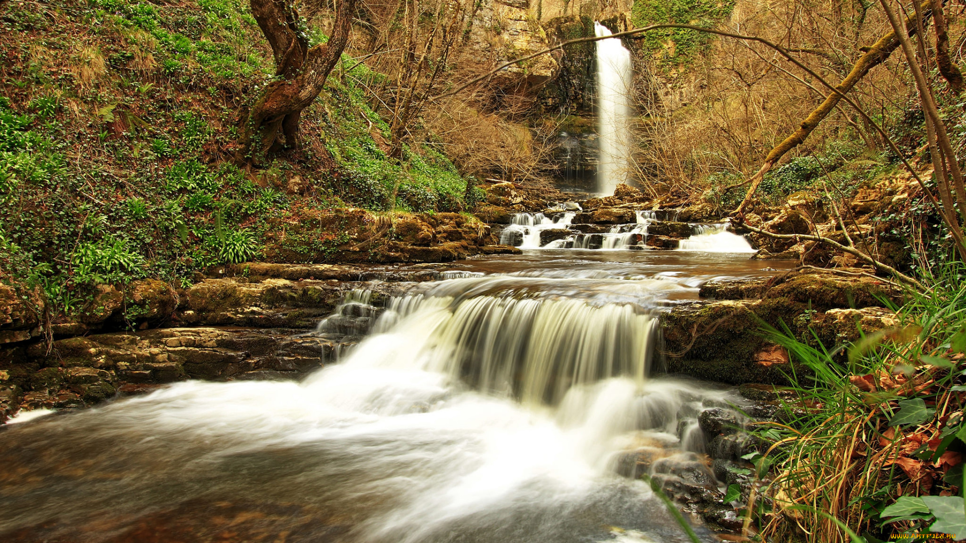 природа, водопады, река, водопад, лес