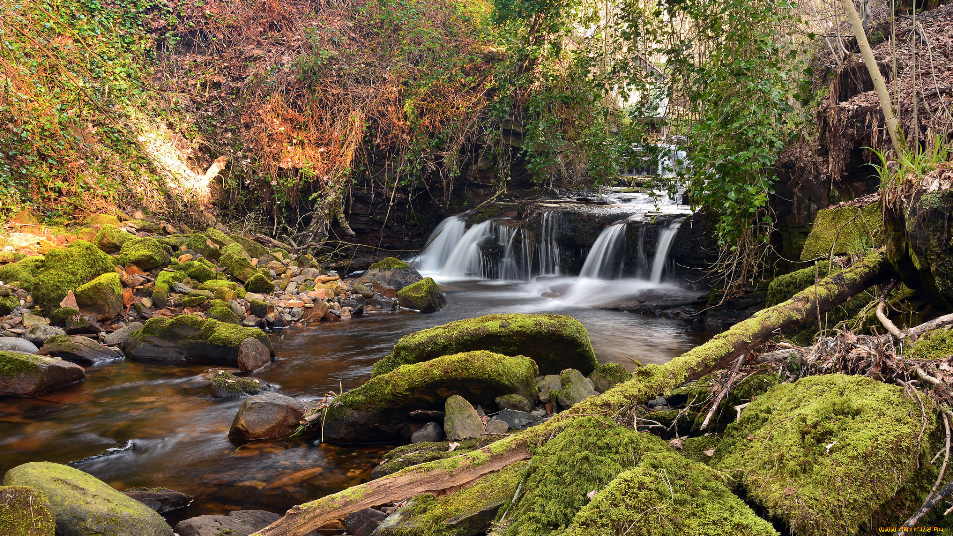 природа, водопады, водопад, лес, река