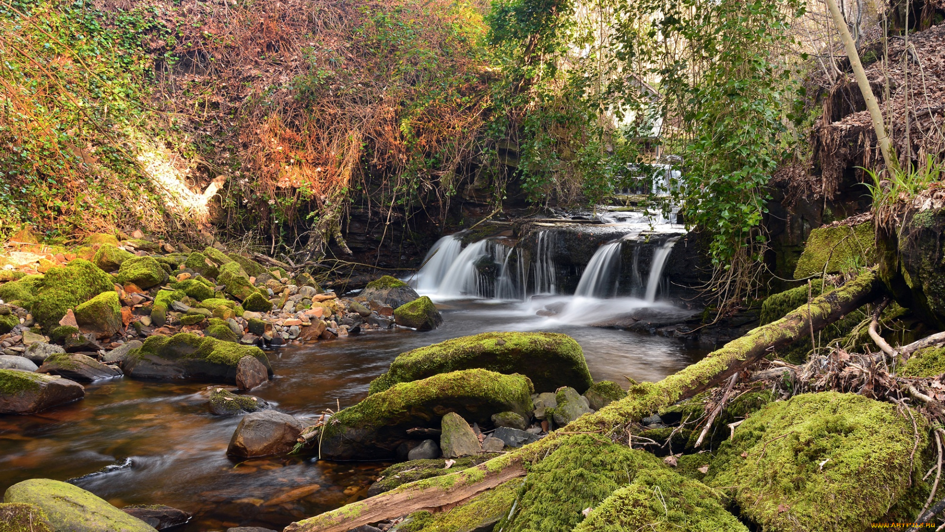 природа, водопады, водопад, река, лес