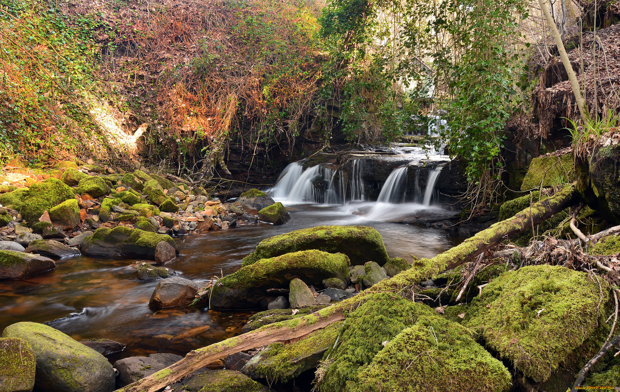 природа, водопады, водопад, лес, река