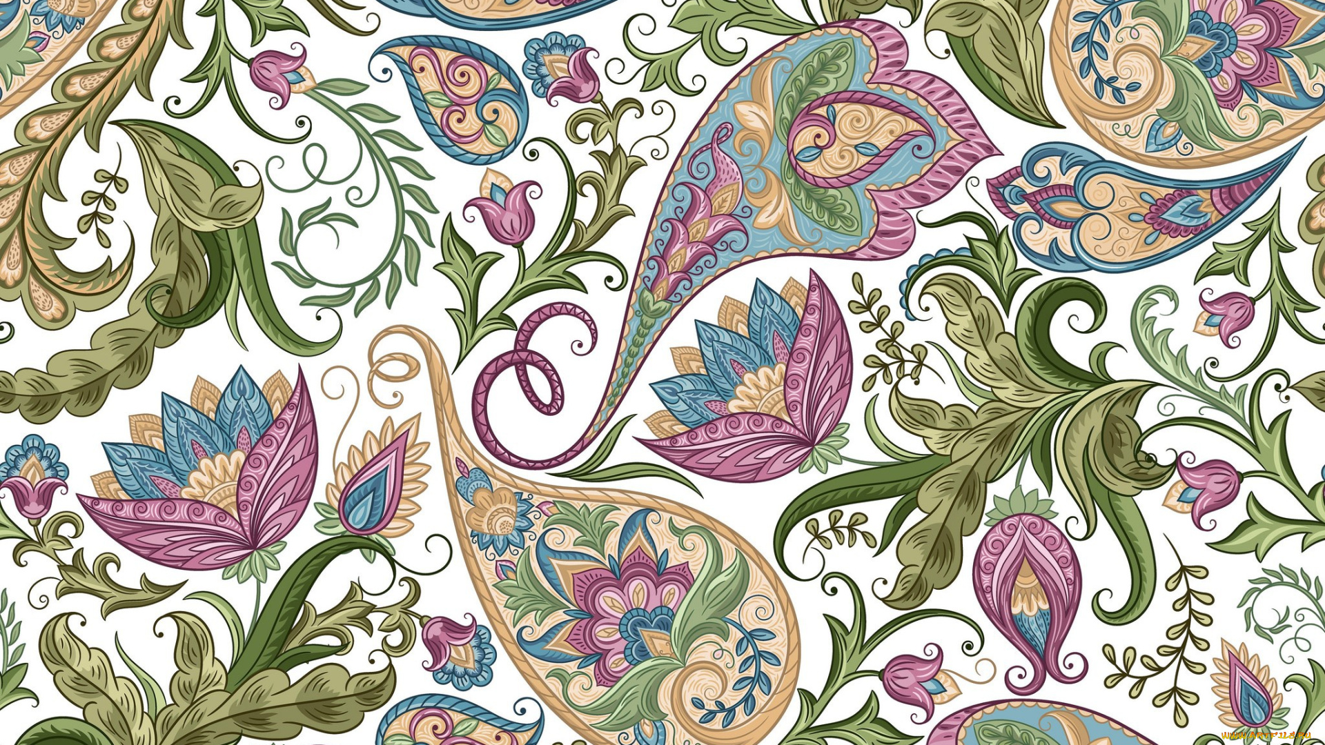 векторная, графика, цветы, , flowers, paisley, background, design, узор, цветы, белый, фон, текстура, floral, seamless, пейсли