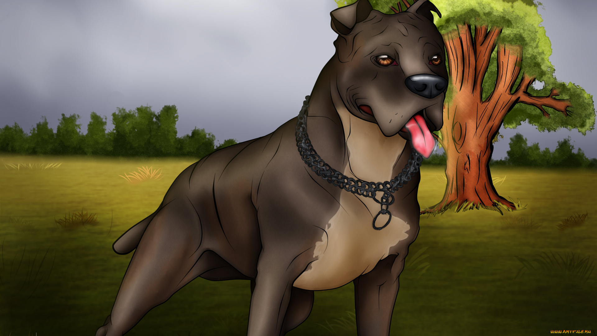 векторная, графика, животные, , animals, взгляд, собака, фон