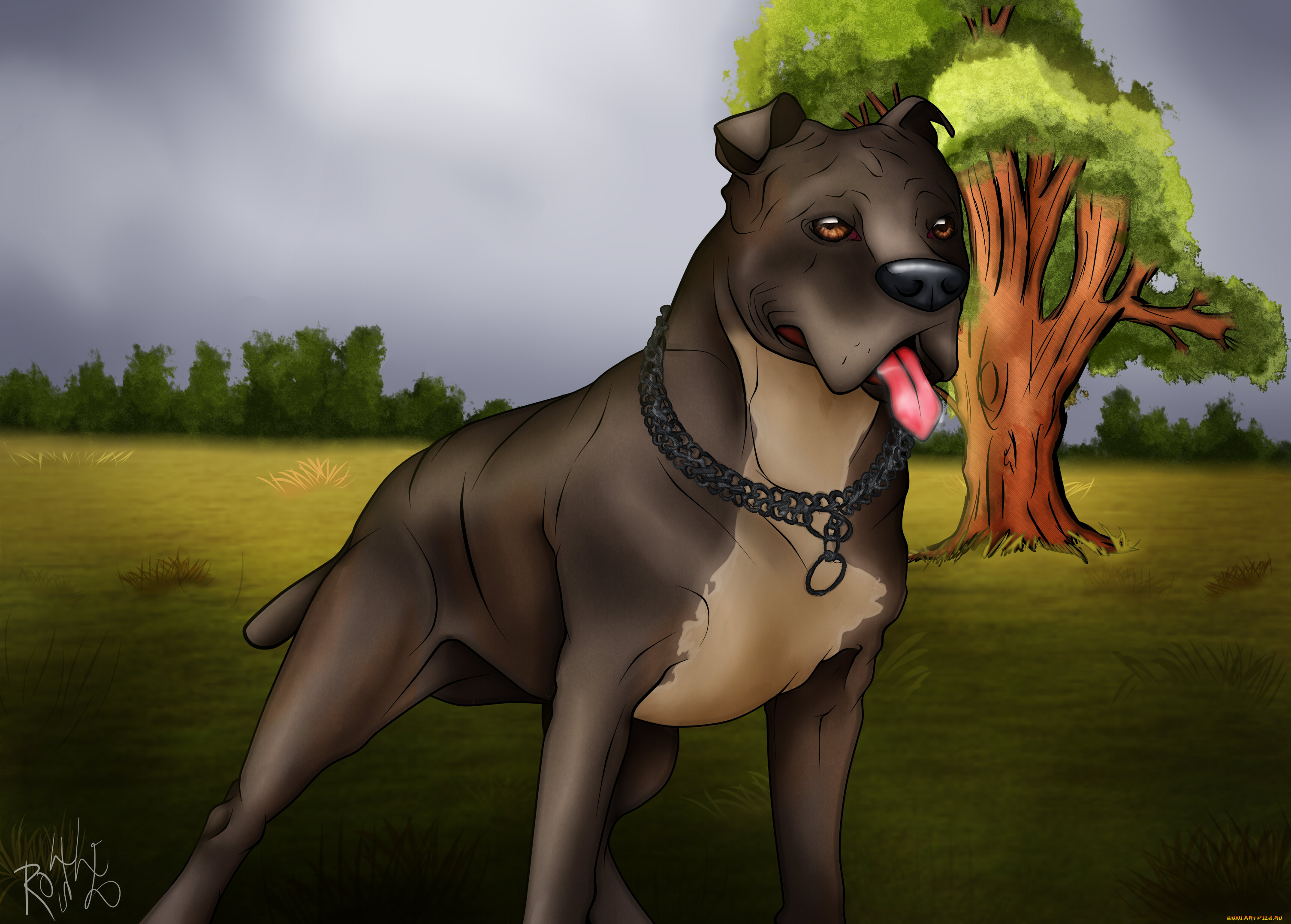 векторная, графика, животные, , animals, взгляд, собака, фон