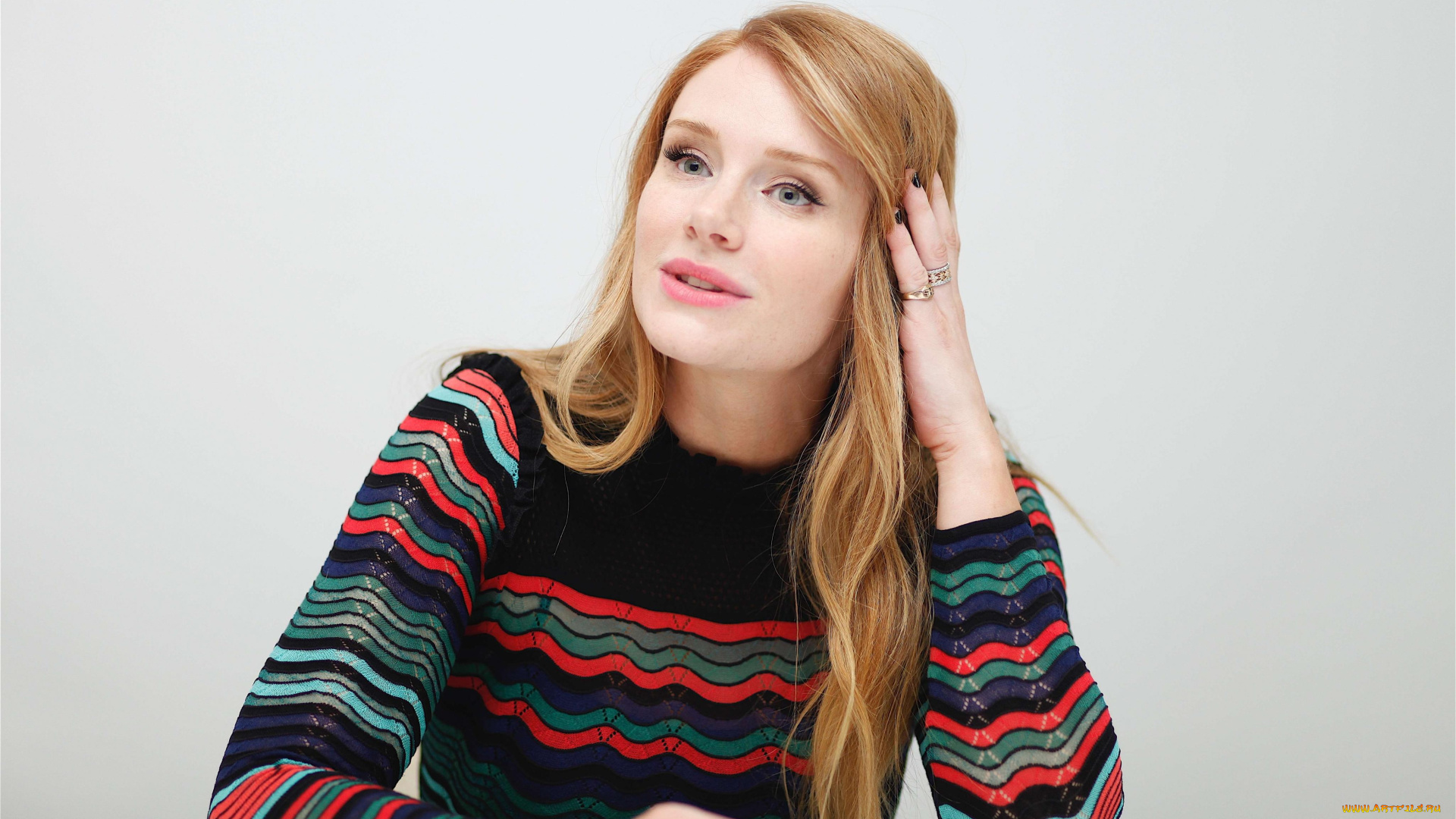 bryce, dallas, howard, девушки, свитер, блондинка, актриса