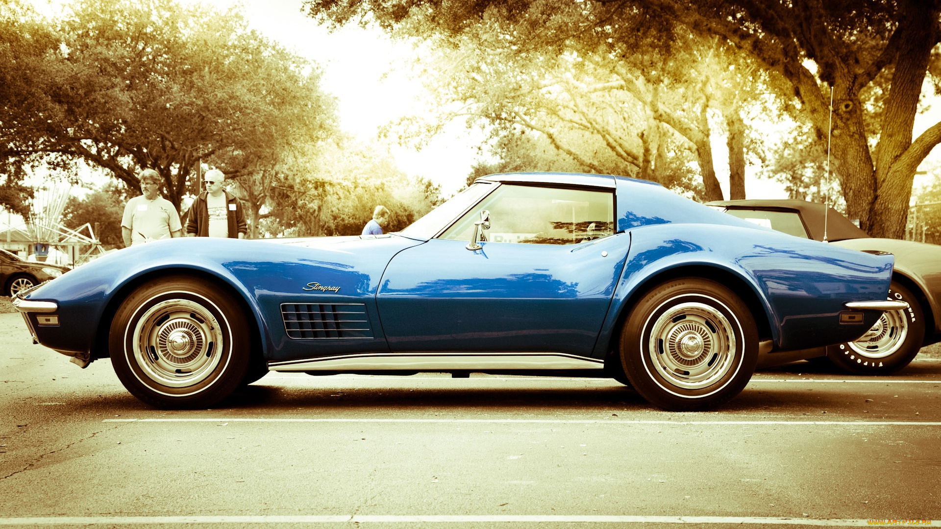 автомобили, corvette, chevrolet, stingray