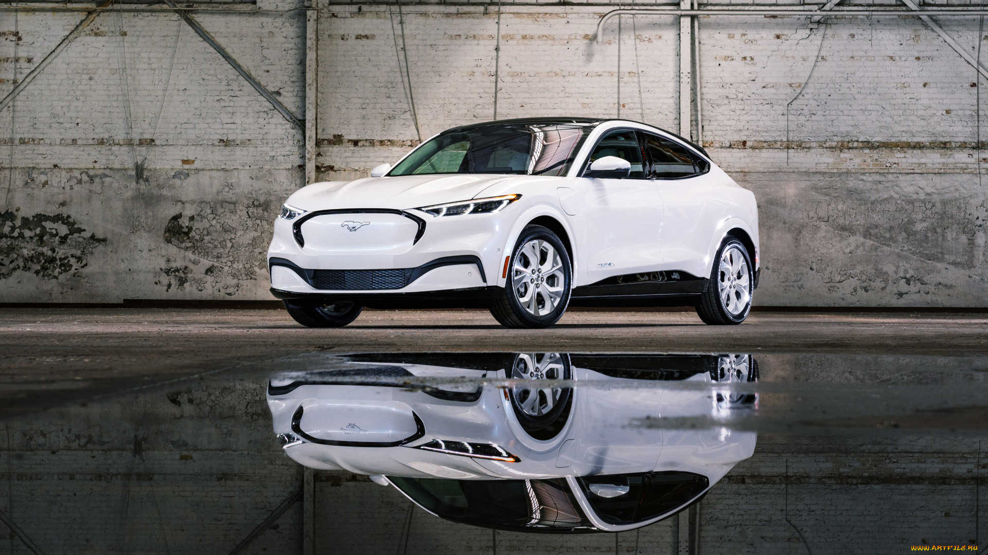 автомобили, mustang