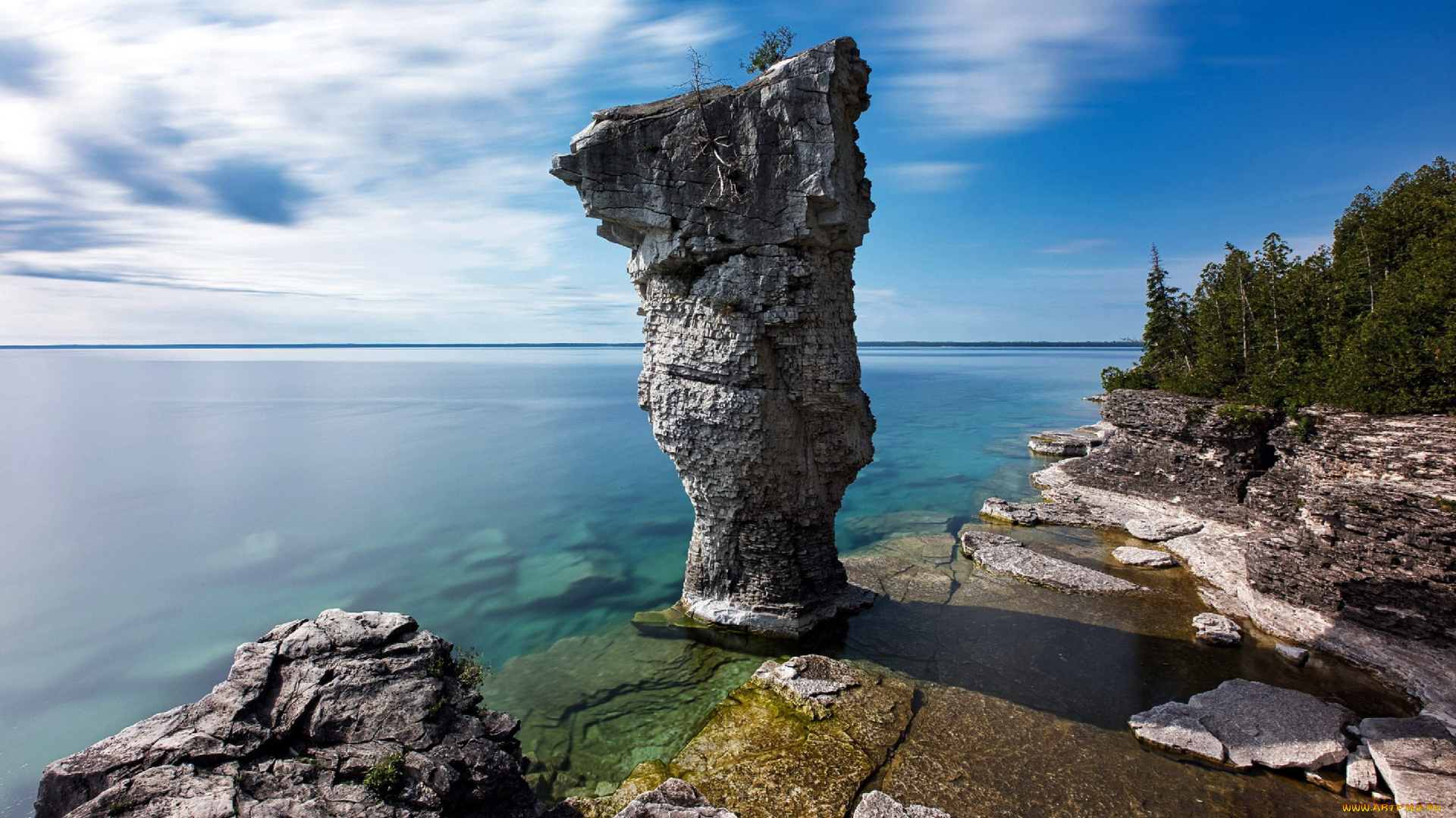 flower, pot, island, ontario, canada, природа, побережье, flower, pot, island