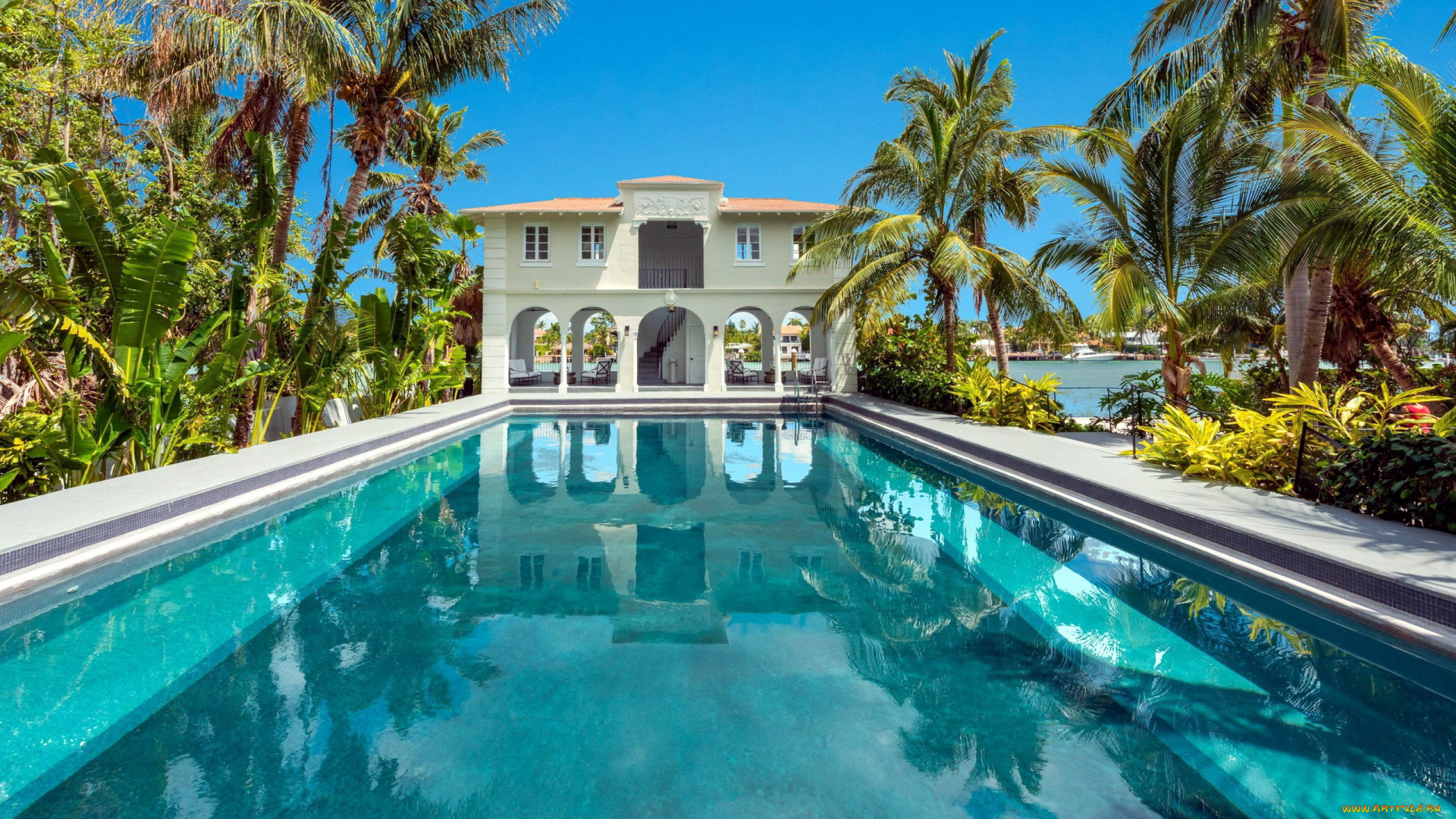 интерьер, бассейны, , открытые, площадки, пальмы, бассейн