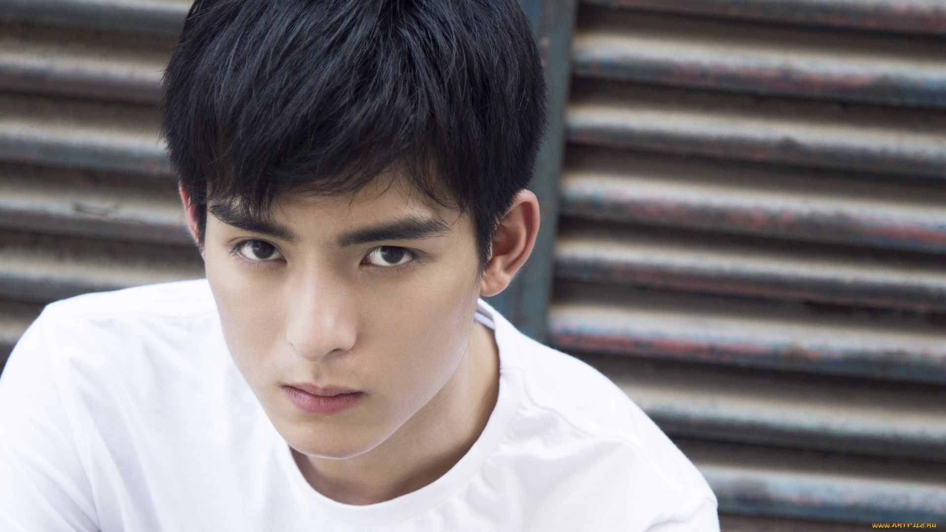 мужчины, wang, hao, xuan, ван, хаосюань, wang, hao, xuan