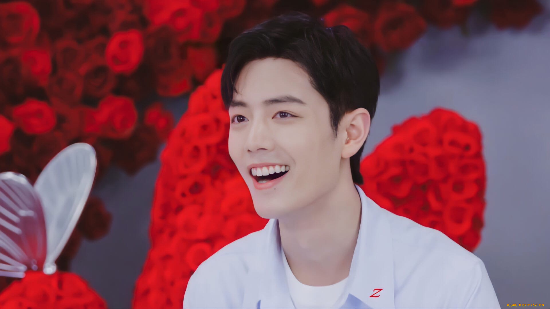 мужчины, xiao, zhan, актер, розы, бабочка, презентация