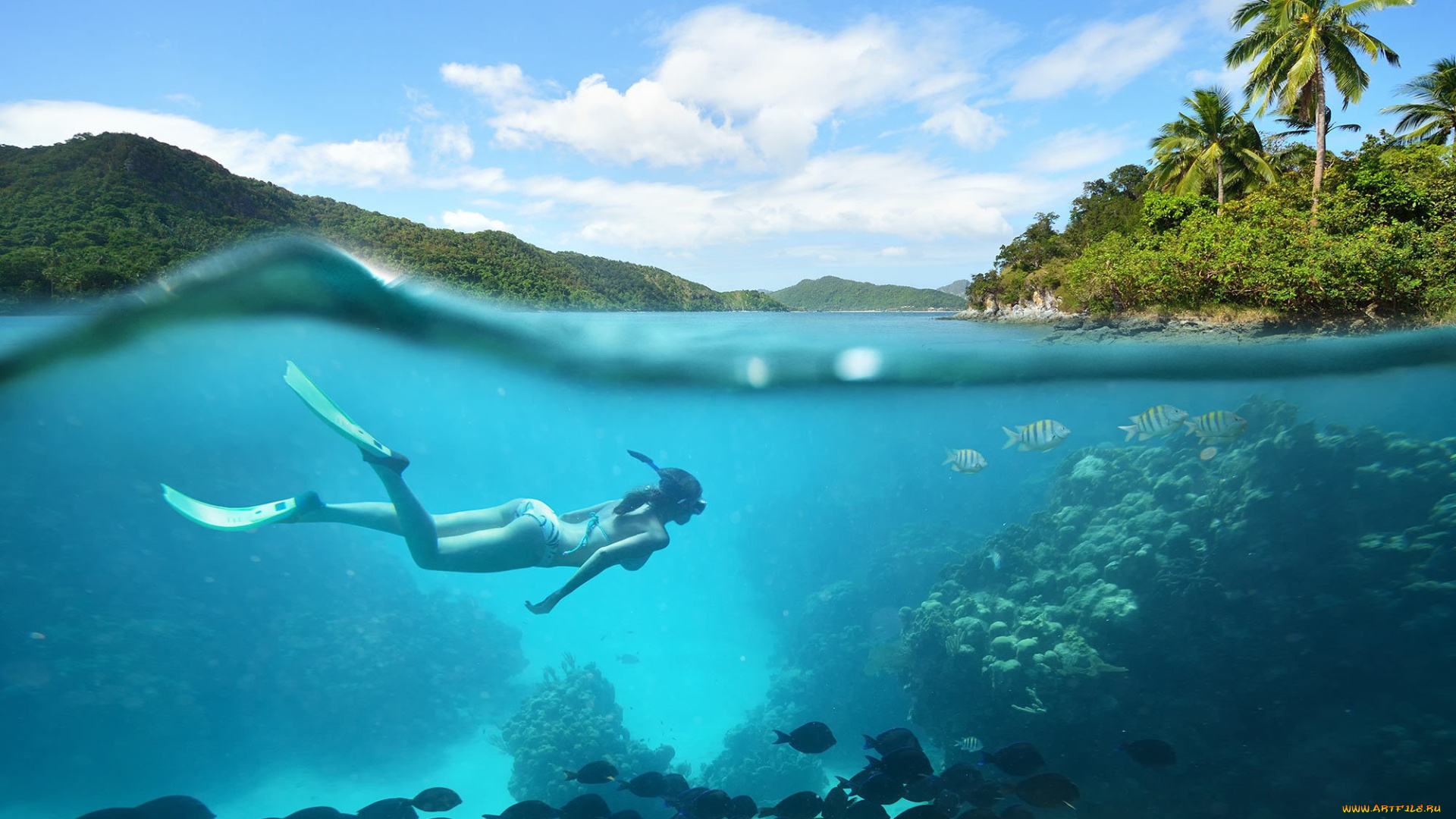 спорт, плавание, девушка, океан, ласты, scuba, snorkel, подводное, с, маской, и, трубкой