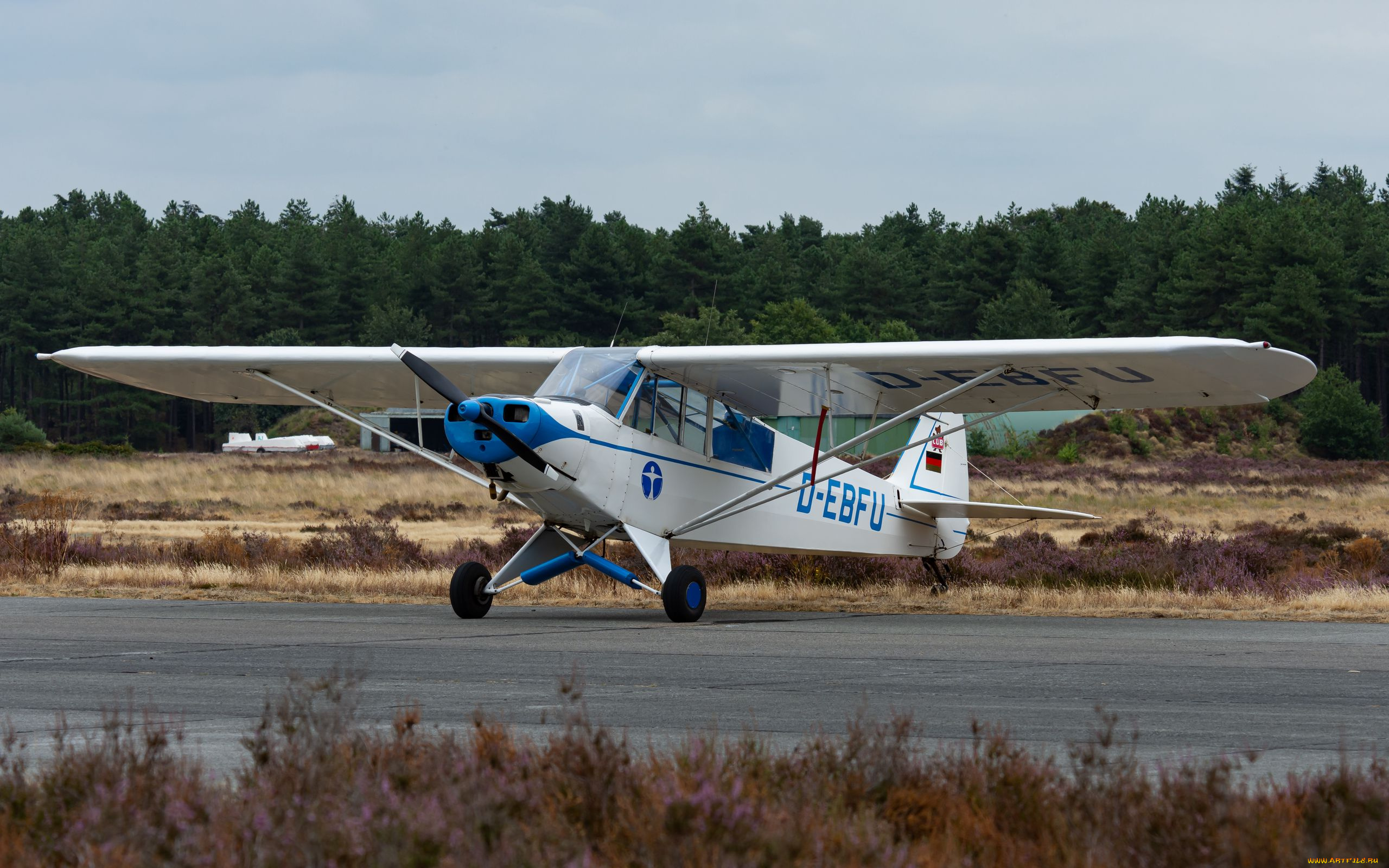 авиация, лёгкие, одномоторные, самолёты, самолет