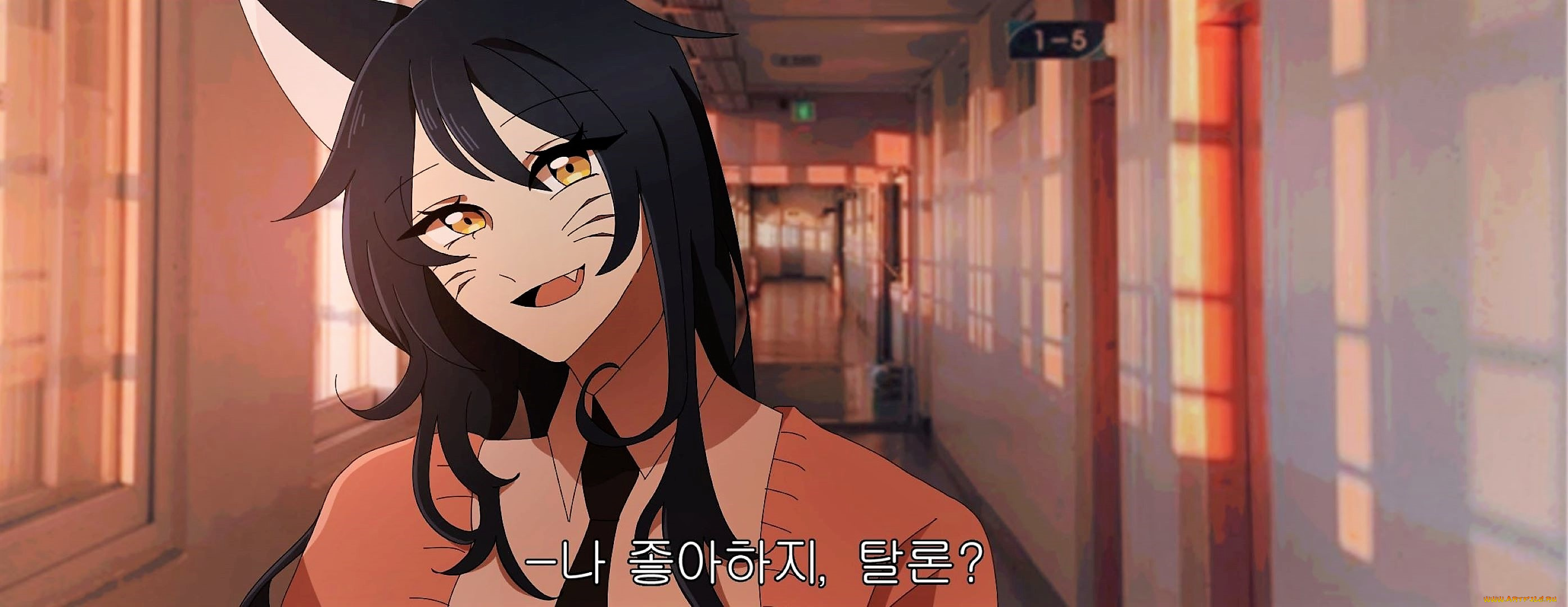 аниме, животные, , существа, неко, школа