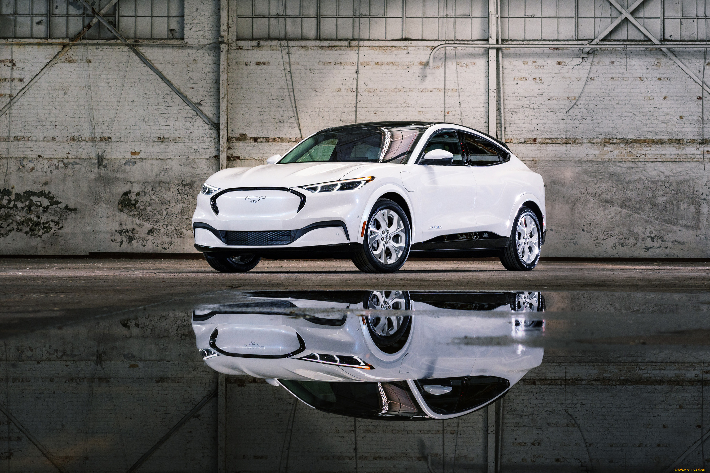 автомобили, mustang