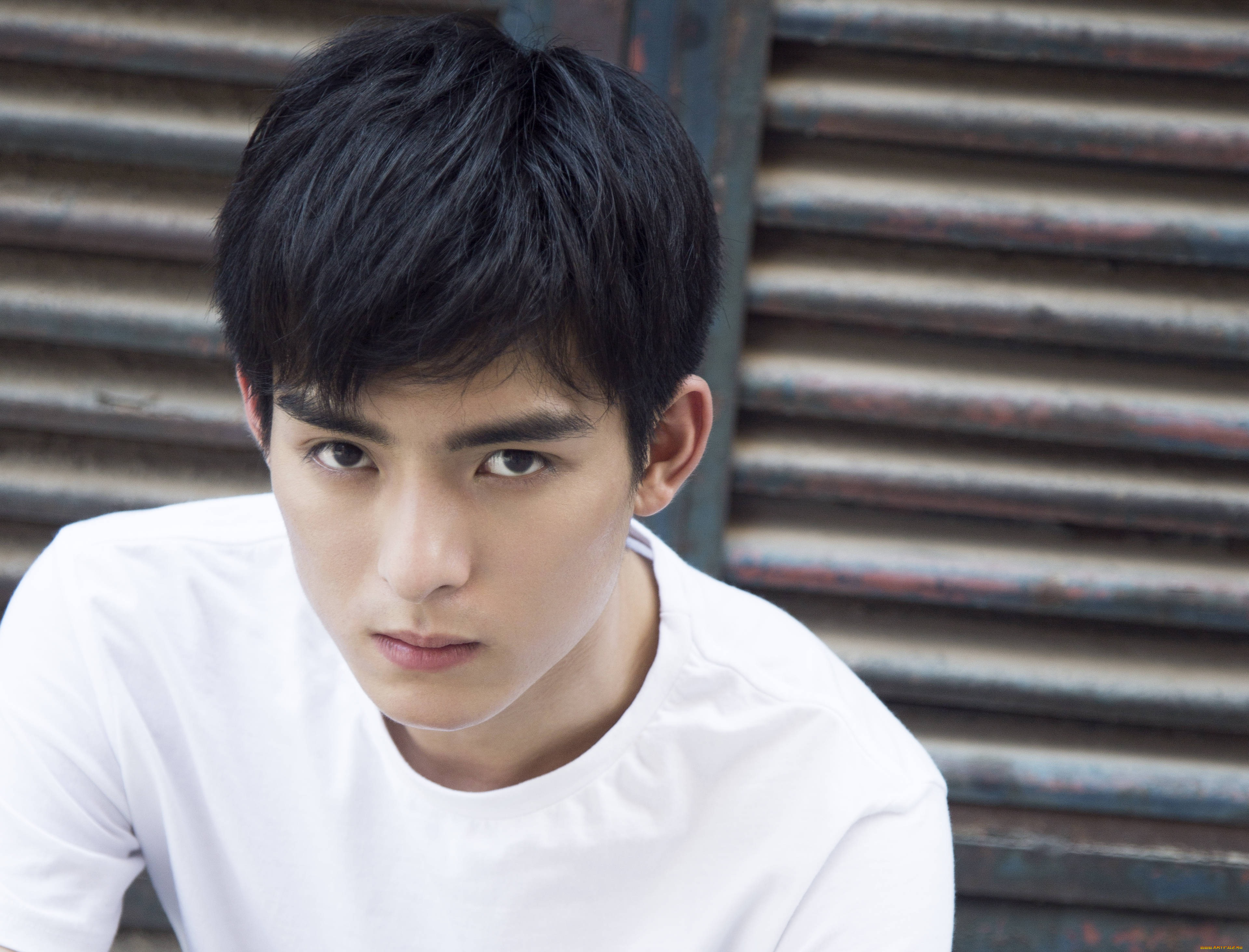 мужчины, wang, hao, xuan, ван, хаосюань, wang, hao, xuan