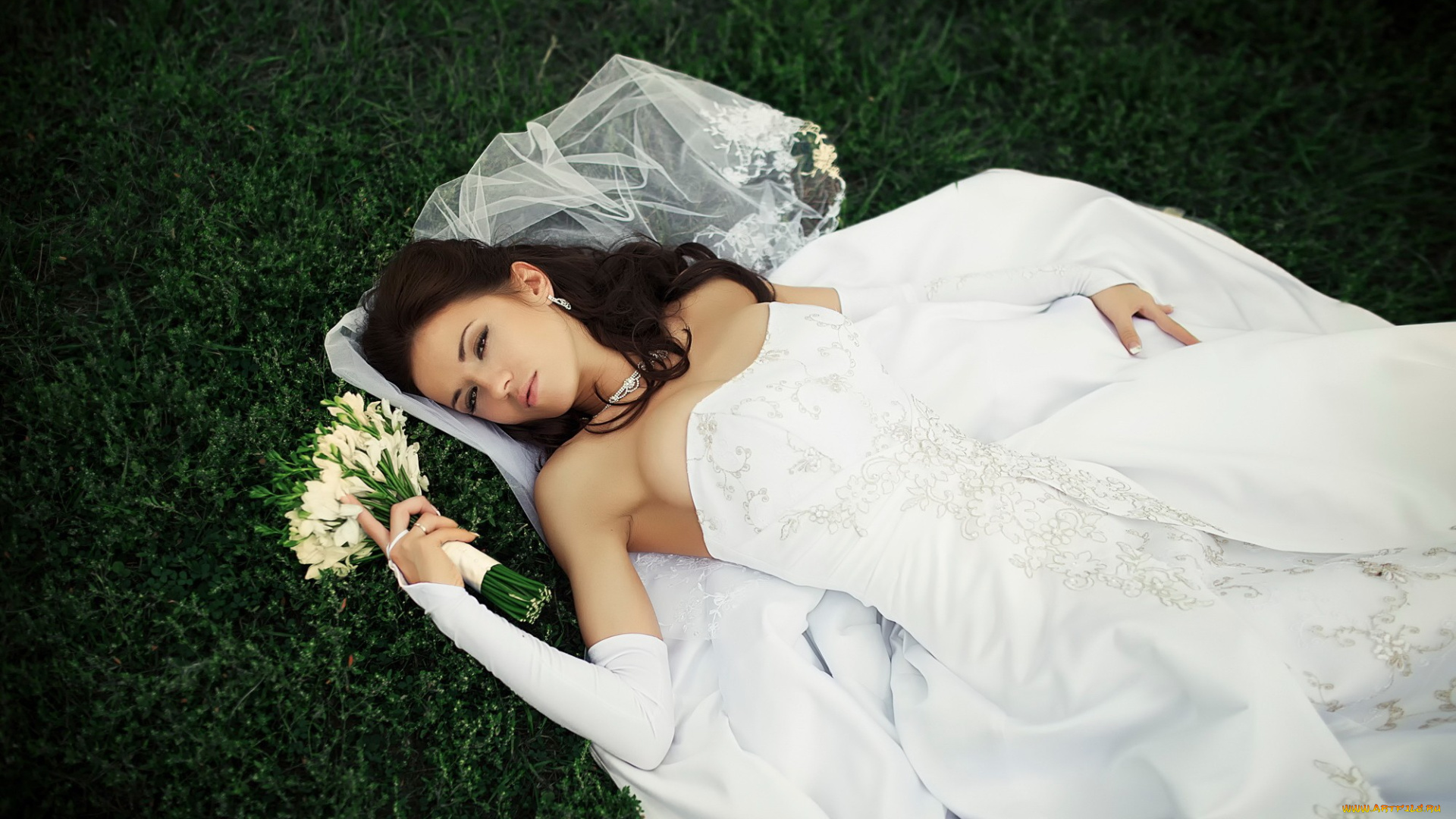 девушки, -, невесты, невеста