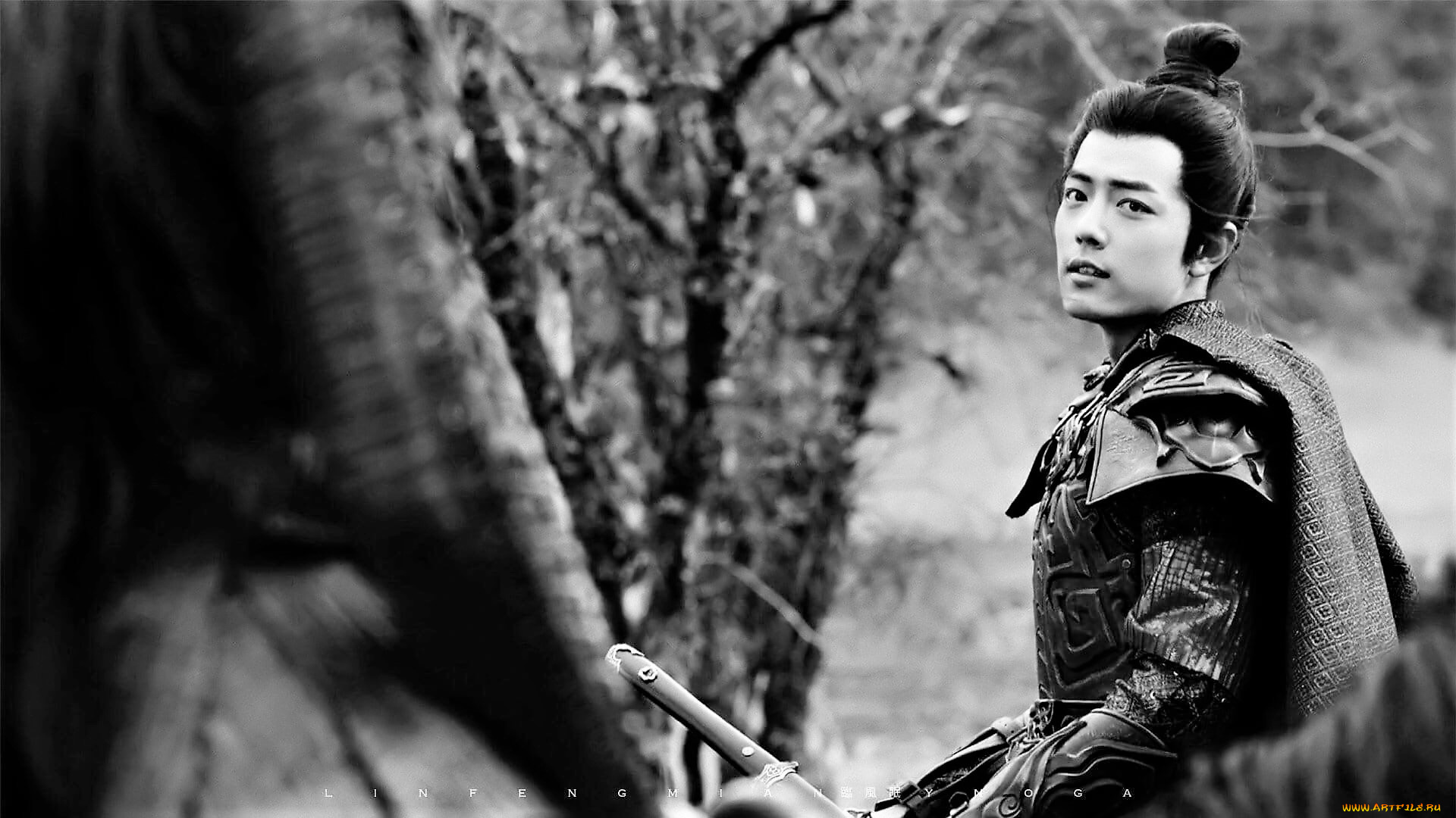 кино, фильмы, the, wolf, броня, лес