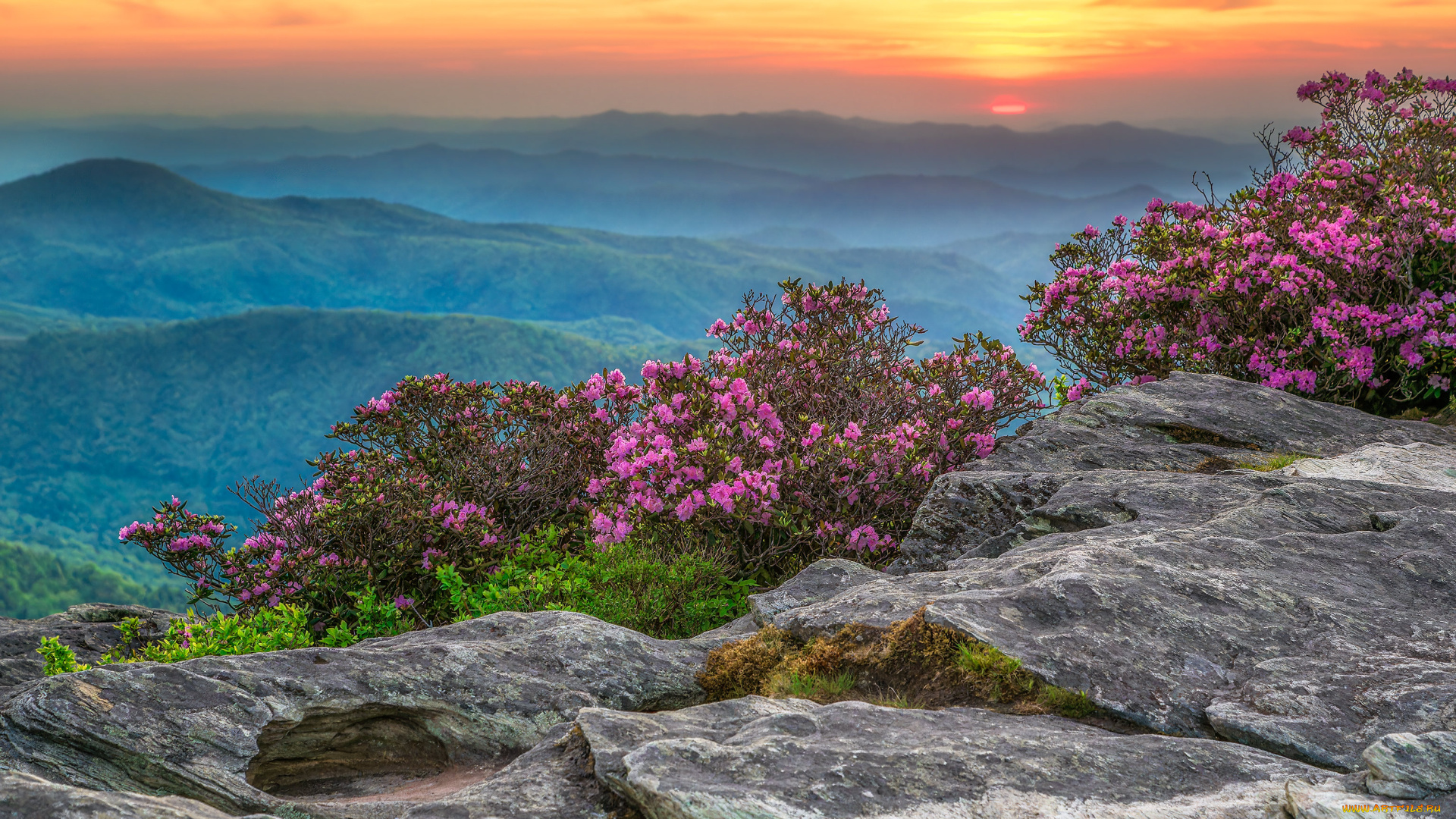 природа, горы