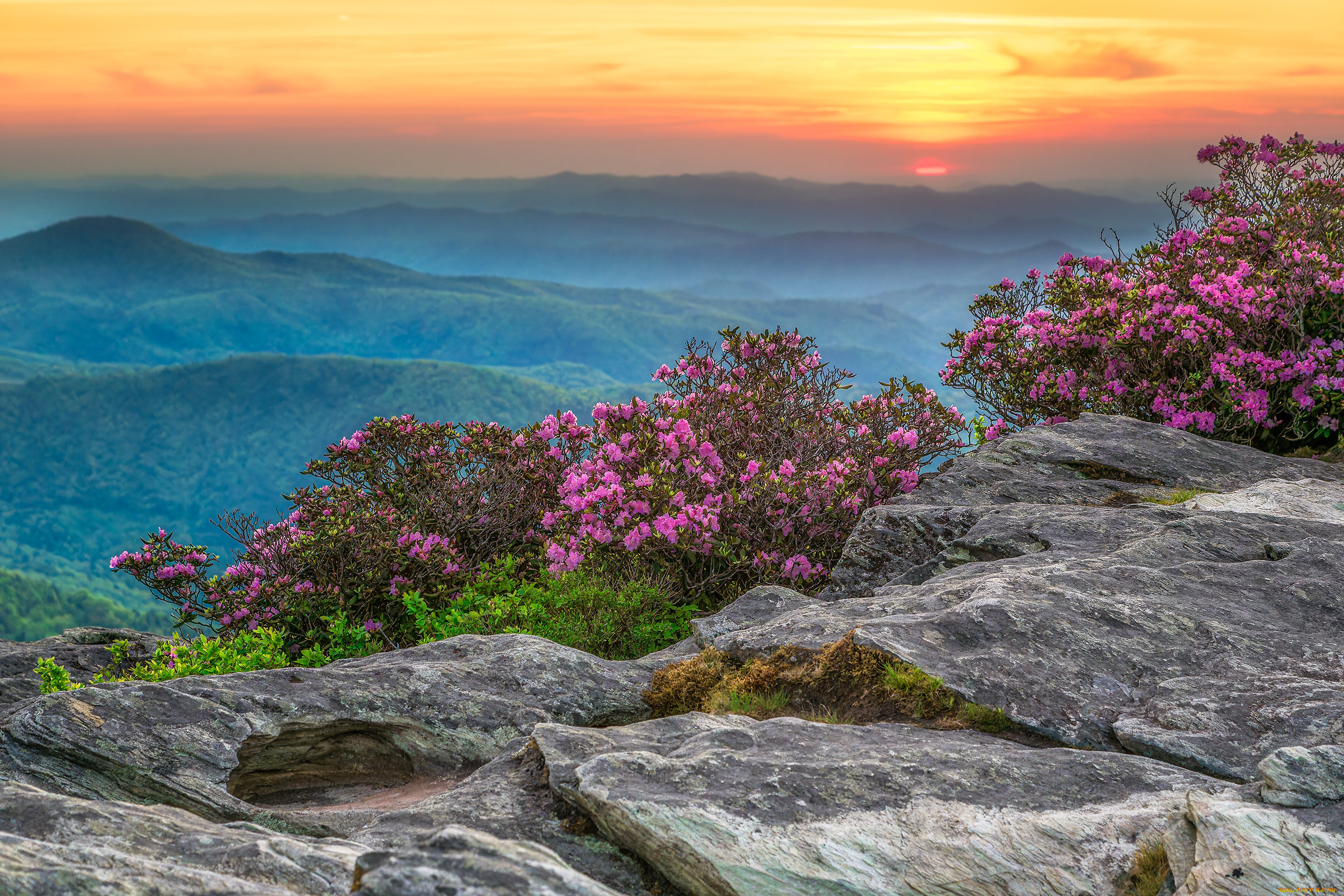 природа, горы