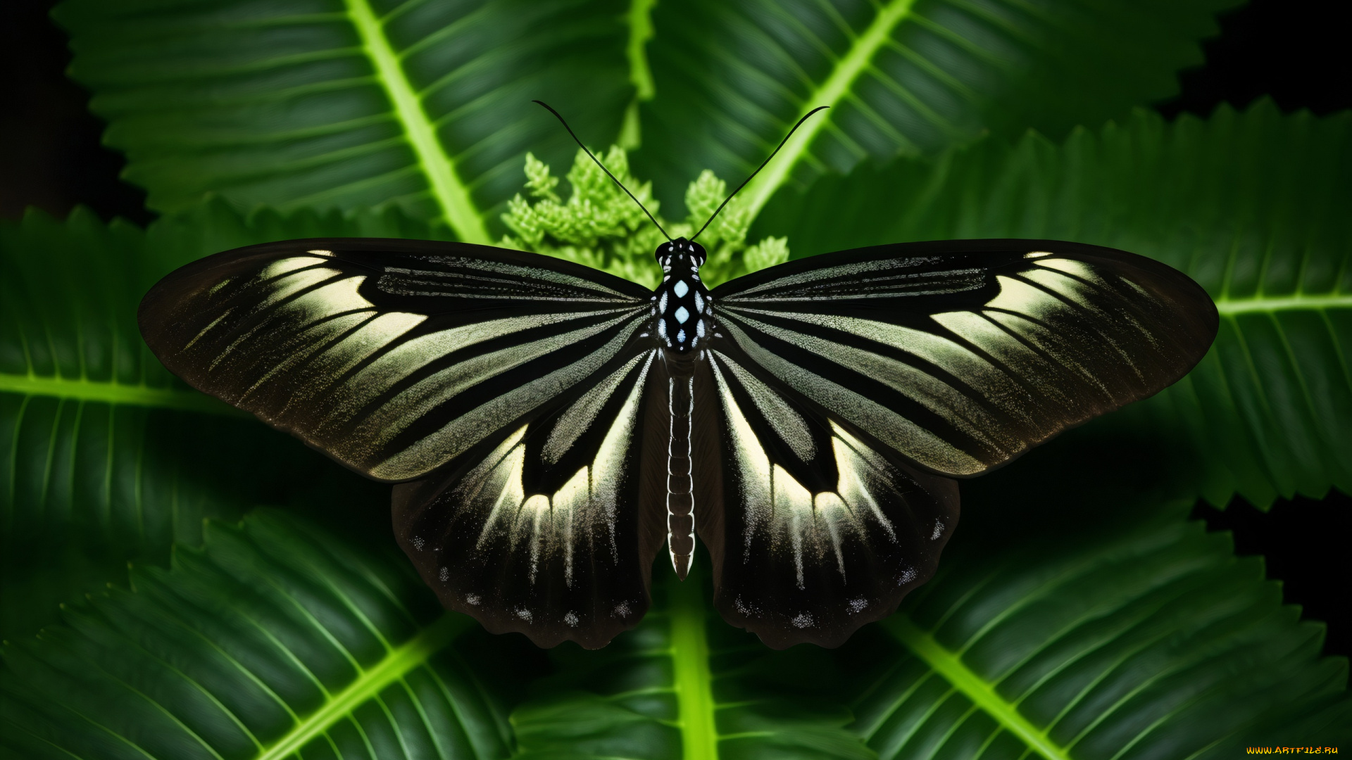 3д, графика, животные, , animals, листья, бабочка, цветение, цифровое, искусство, cгенерировано, ии