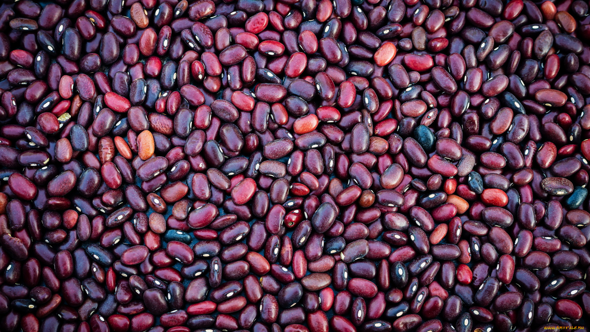 еда, бобовые, темная, фасоль, много