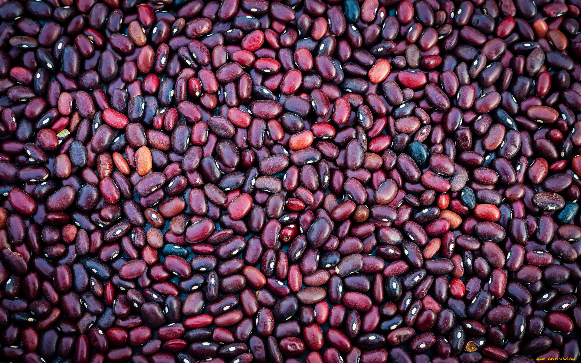 еда, бобовые, темная, фасоль, много