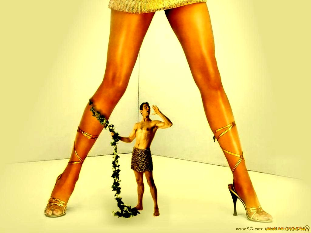 юмор, приколы