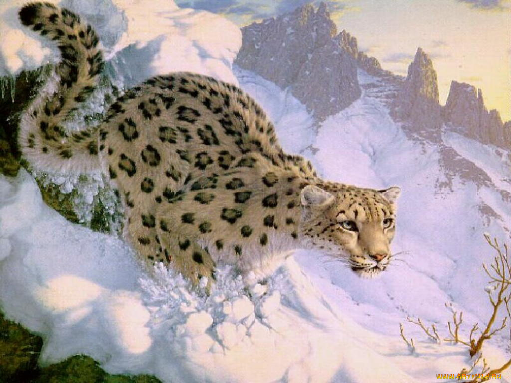 рисованные, животные, барсы