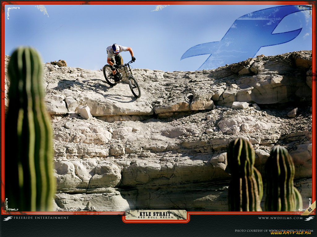 спорт, велоспорт