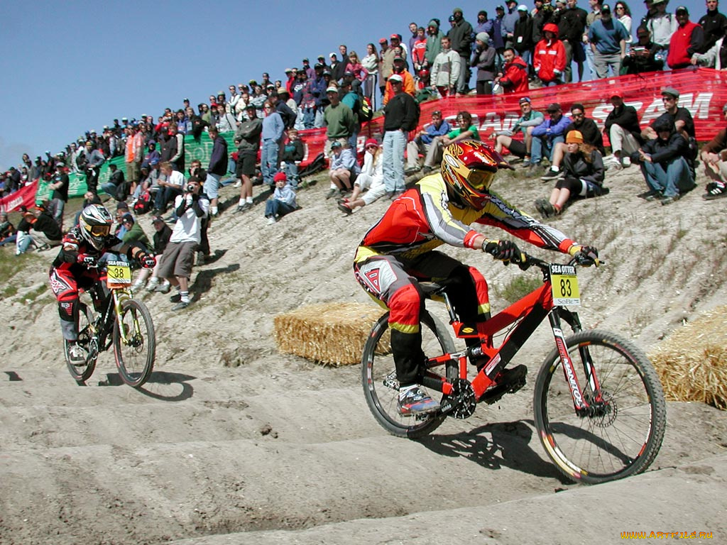 спорт, велоспорт