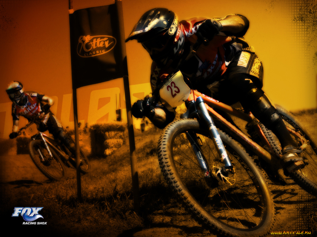 спорт, велоспорт