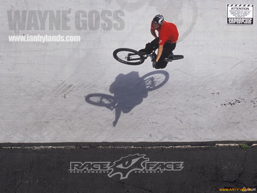 спорт, велоспорт