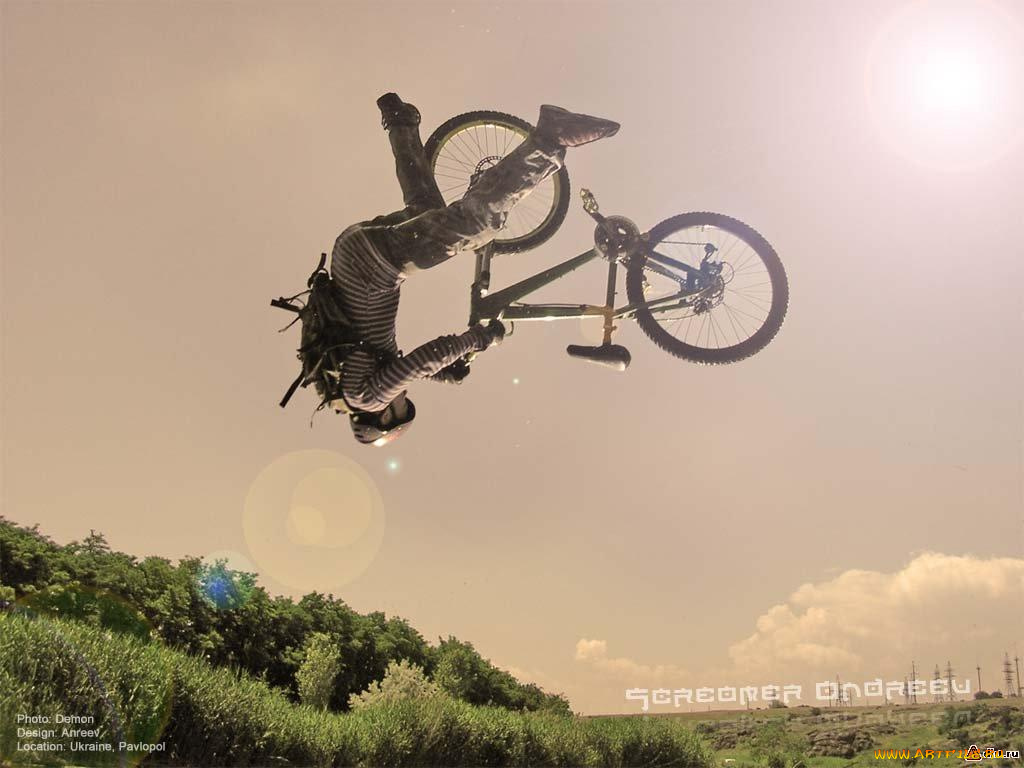 спорт, велоспорт