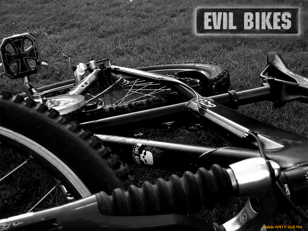 спорт, велоспорт