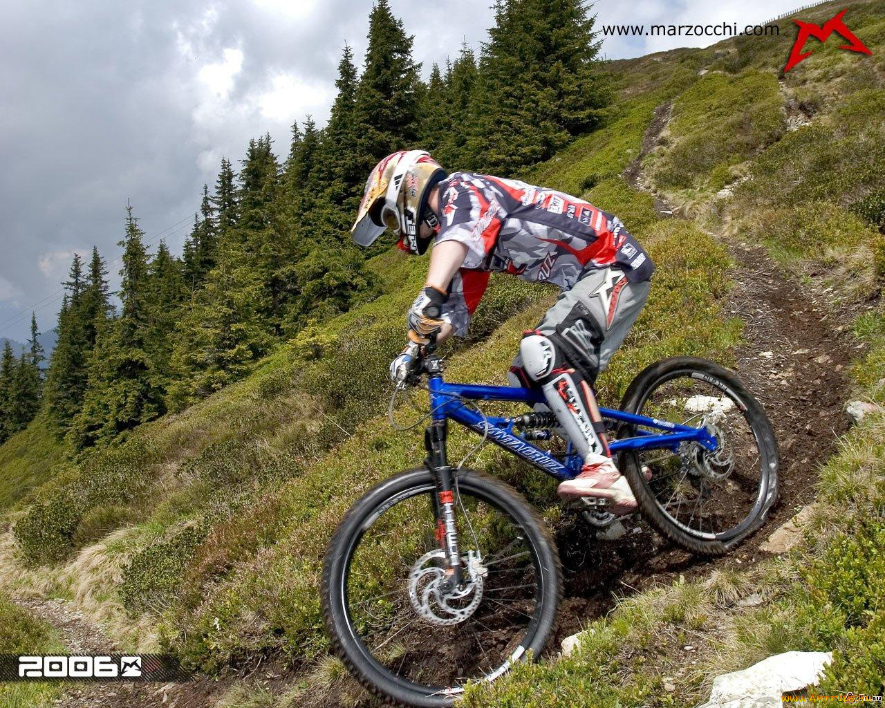 спорт, велоспорт