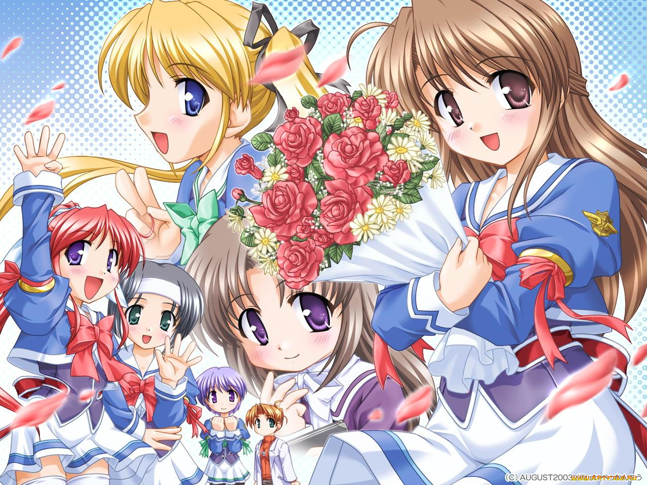 аниме, hani, operation, sanctuary