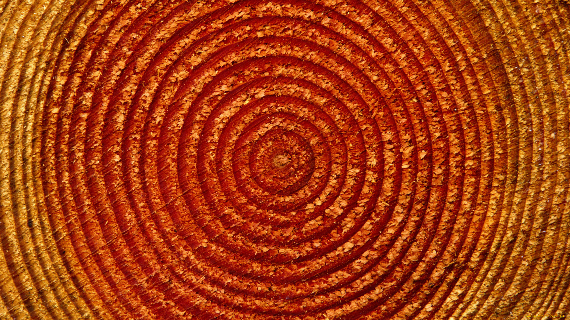 разное, текстуры