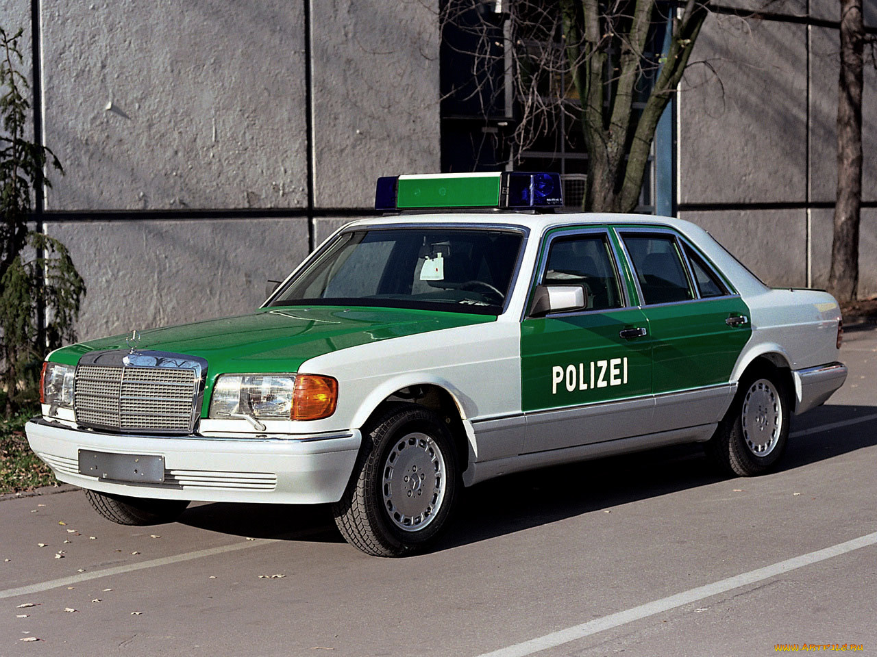 автомобили, полиция