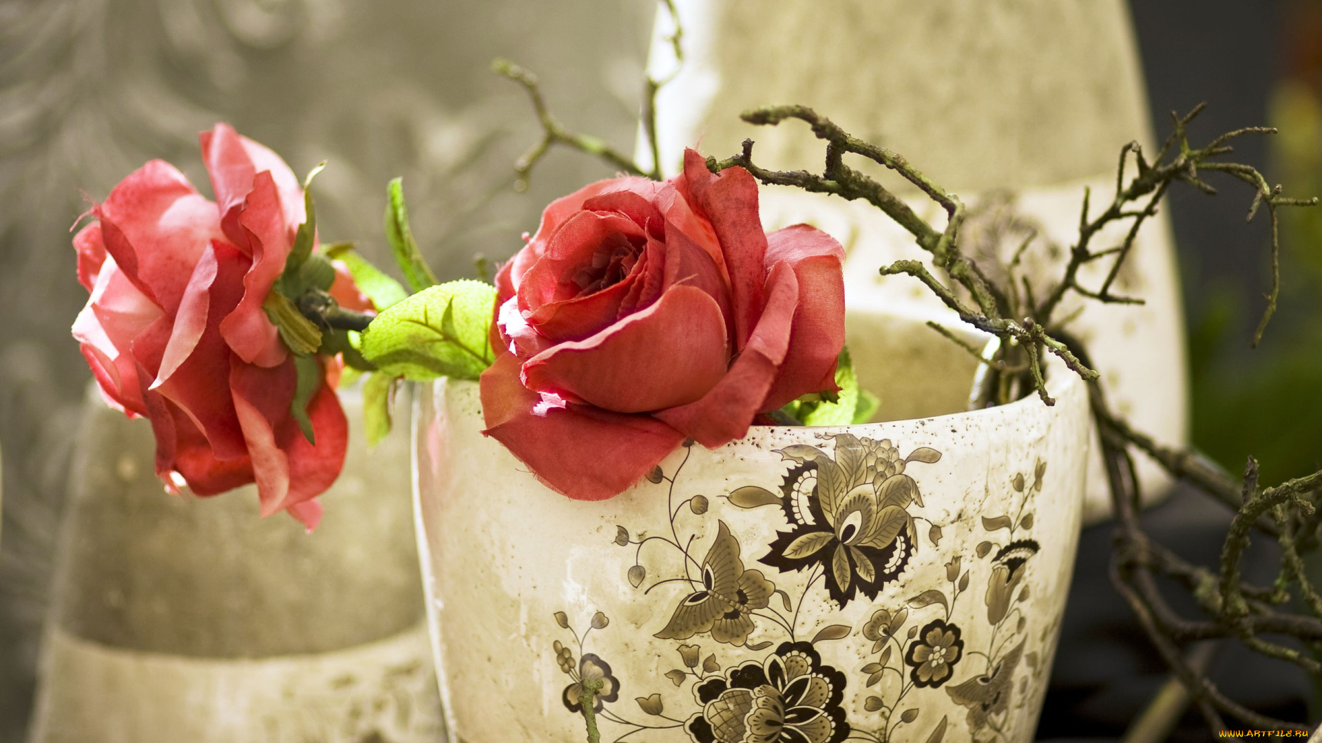 цветы, розы