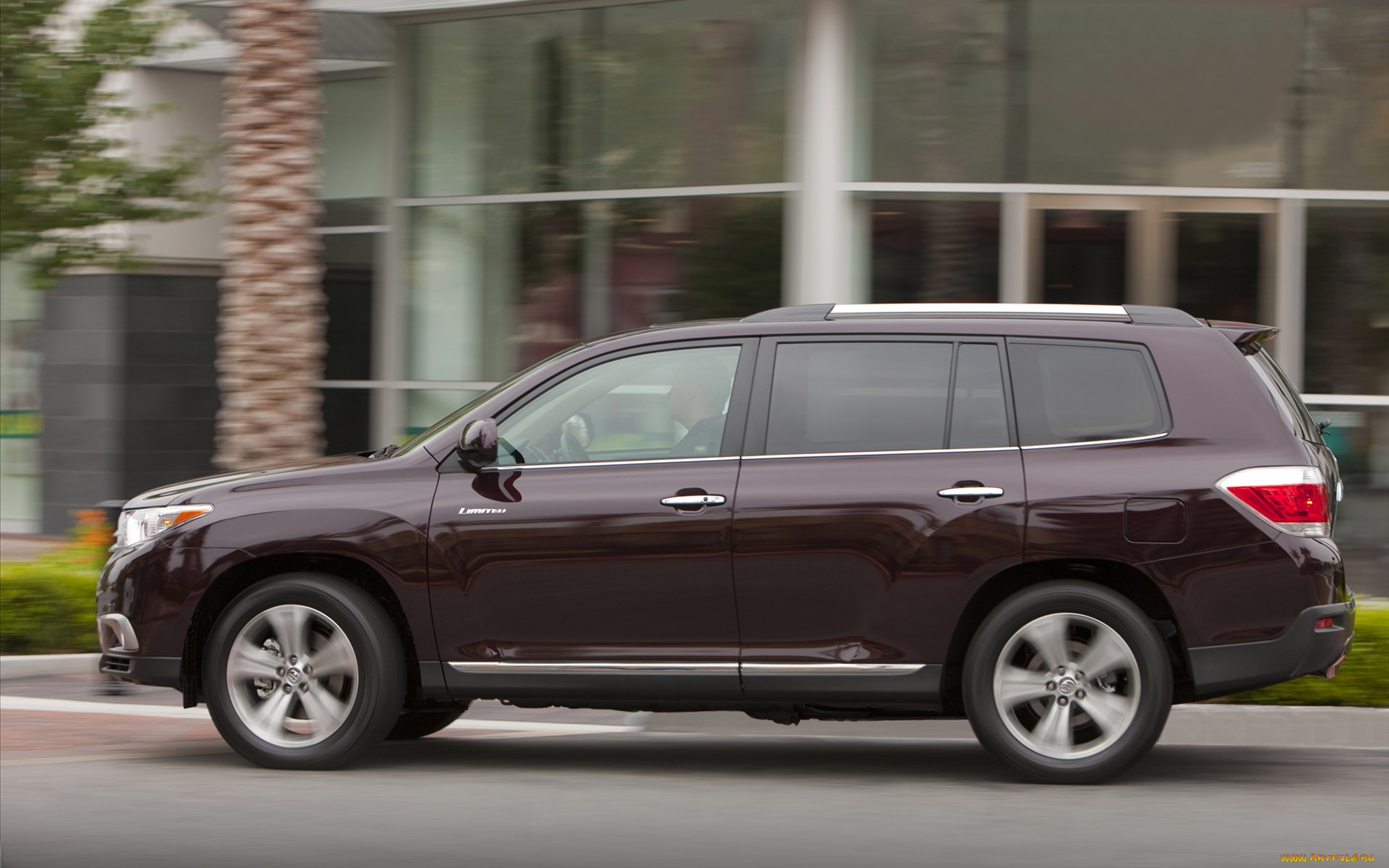 автомобили, toyota