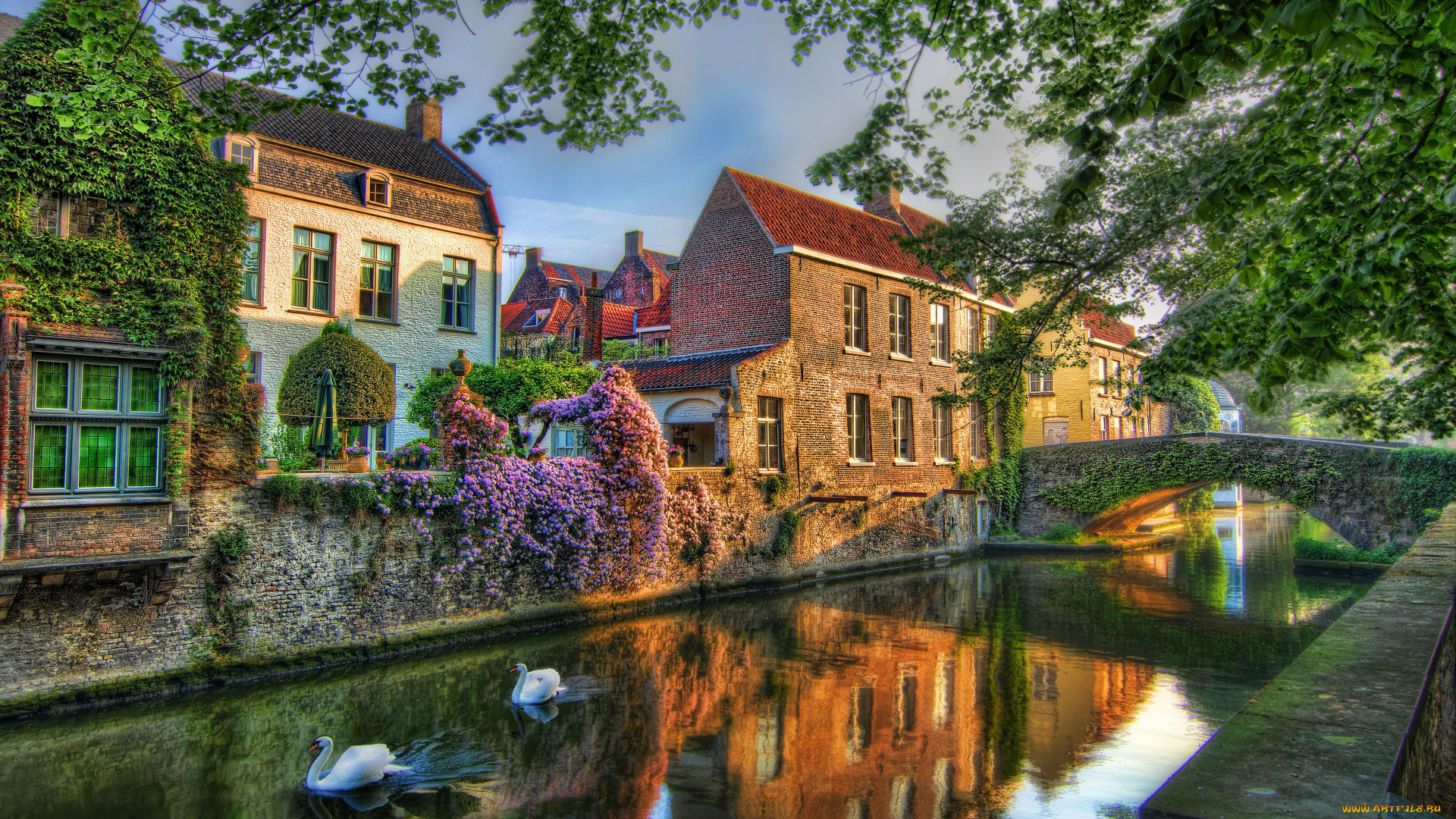 bruges, belgium, города, брюгге, бельгия, мост, канал, лебеди