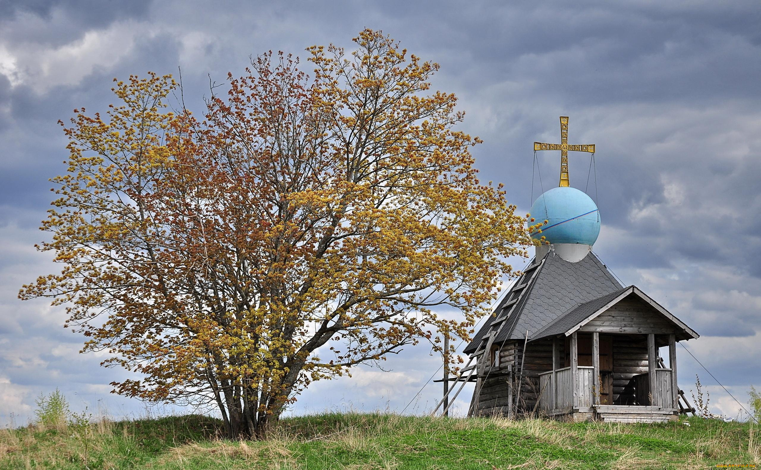 города, католические, соборы, костелы, аббатства, трава, дерево