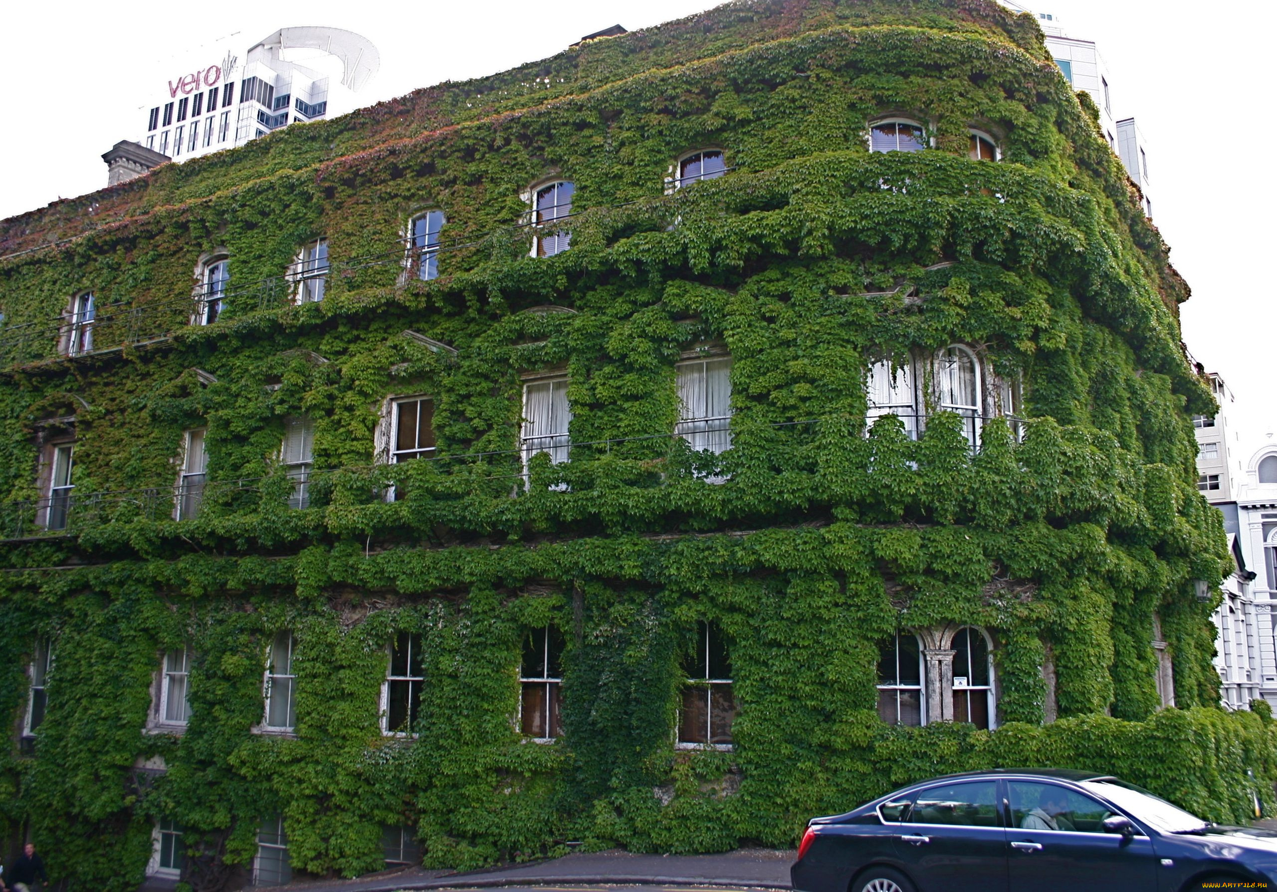 auckland, new, zealand, города, здания, дома